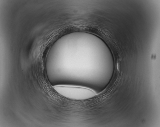 X0000116001347200911191204