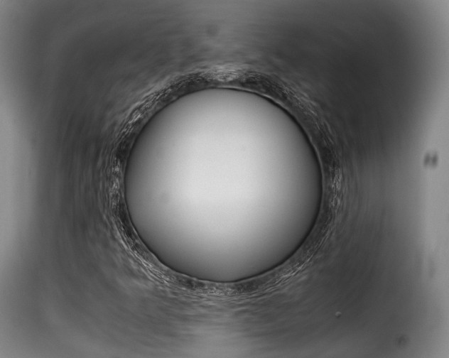X0000116001349200911191204