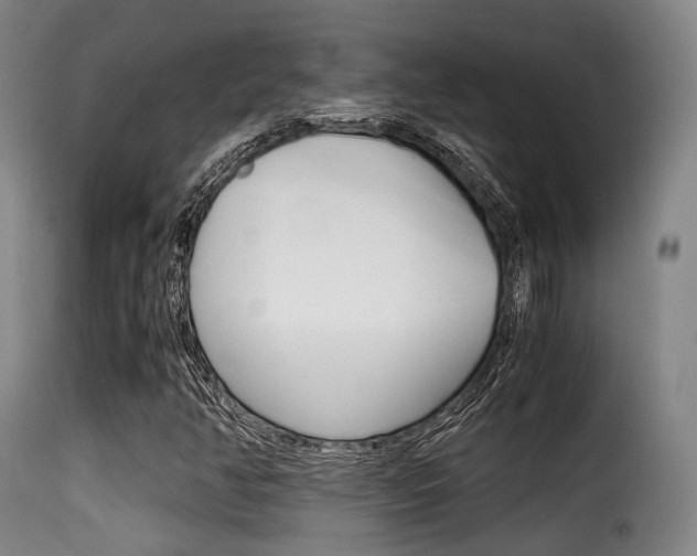 X0000116001350200911191204