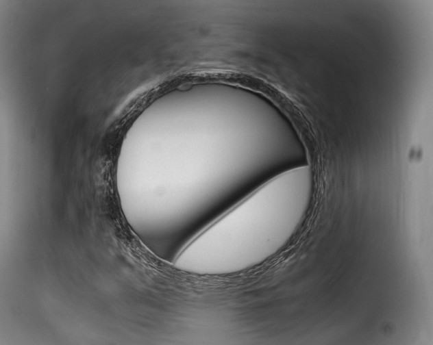 X0000116001351200911191204