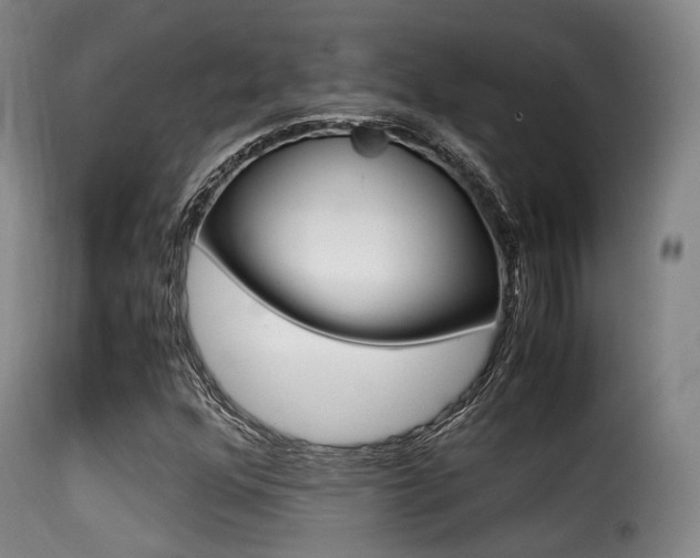 X0000116001352200911191204