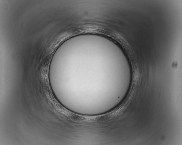 X0000116001353200911191204