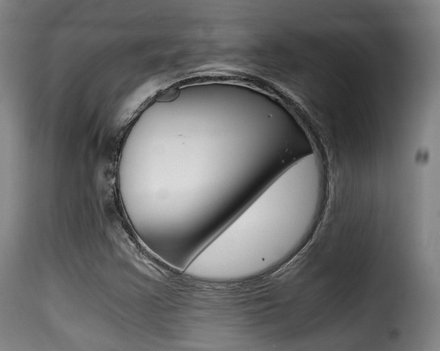 X0000116001355200911191204