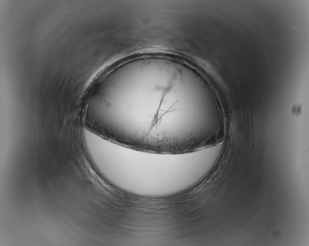 X0000116001356200911191204
