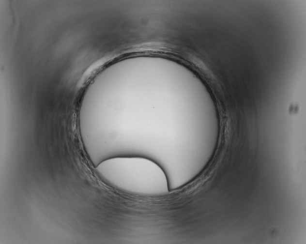 X0000116001358200911191204