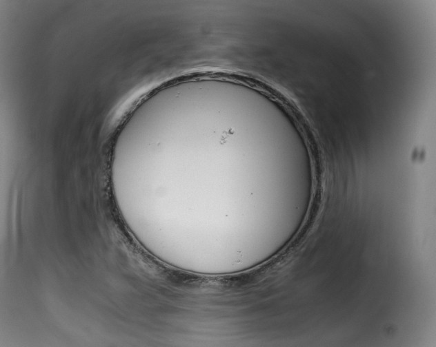 X0000116001359200911191204