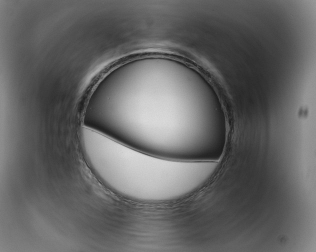X0000116001360200911191204