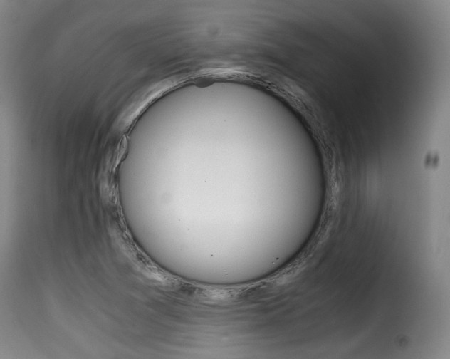 X0000116001361200911191204