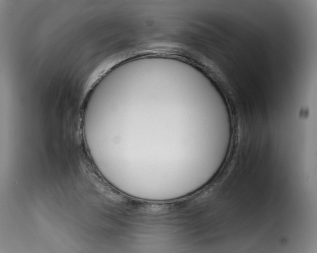 X0000116001362200911191204