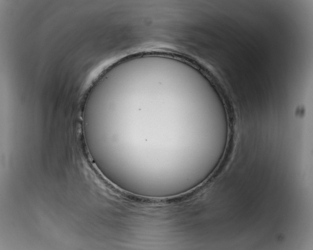 X0000116001363200911191204