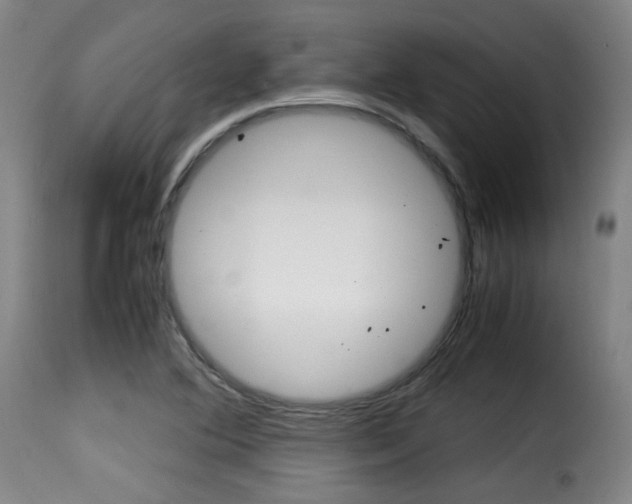 X0000116001364200911191204