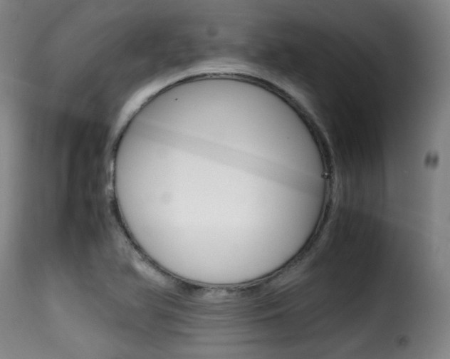 X0000116001366200911191204