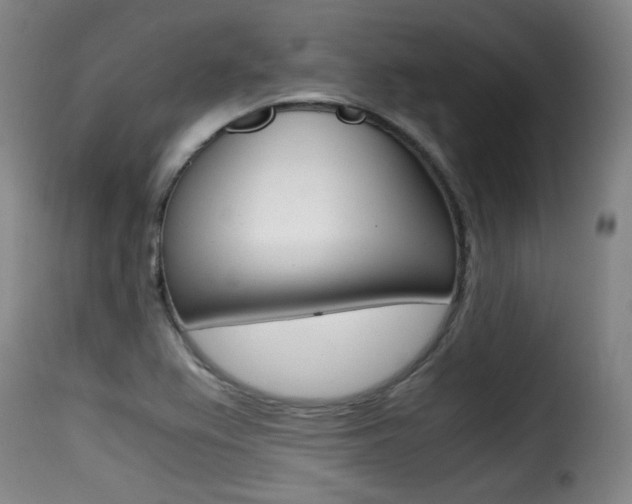 X0000116001367200911191204