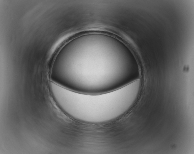 X0000116001368200911191204