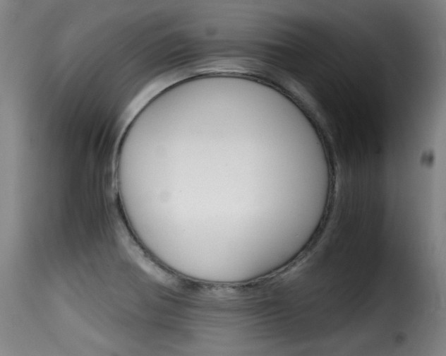 X0000116001370200911191204