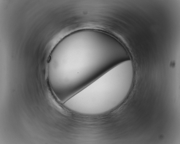 X0000116001371200911191204