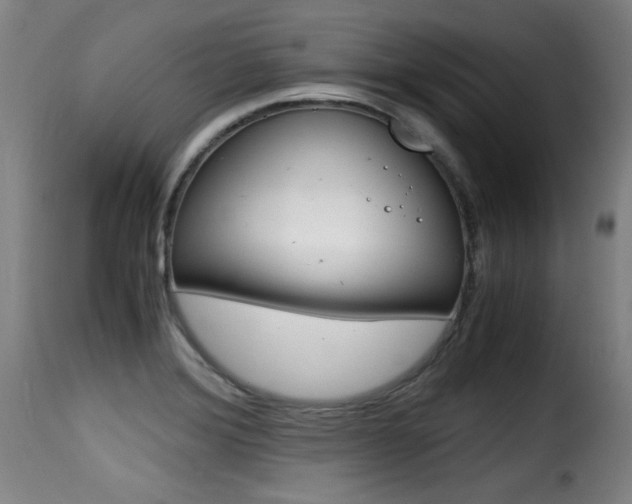 X0000116001372200911191204