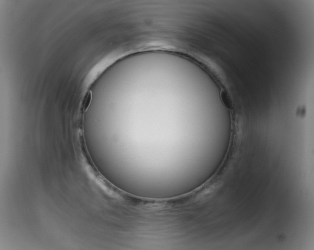 X0000116001373200911191204