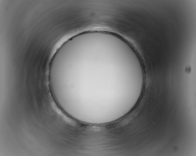 X0000116001374200911191204