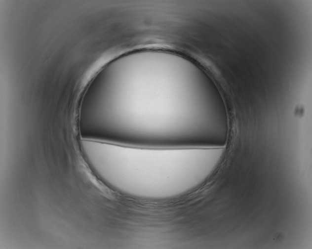 X0000116001375200911191204