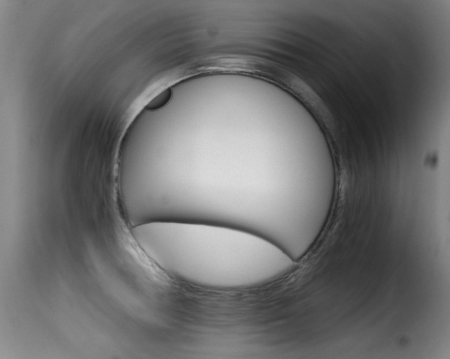 X0000116001378200911191204