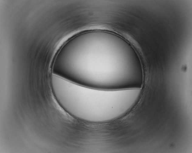 X0000116001380200911191204
