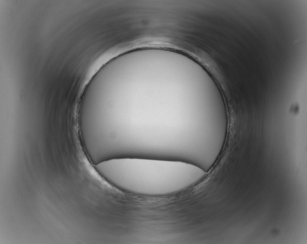 X0000116001382200911191204