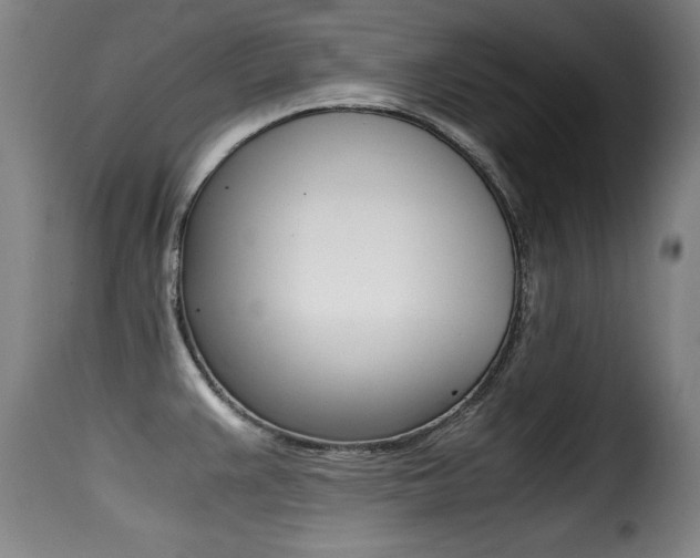X0000116001383200911191204