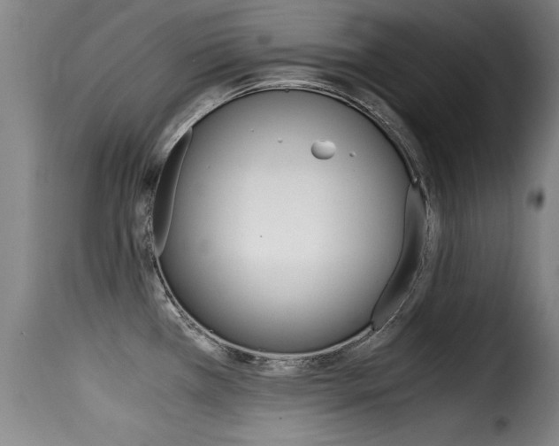 X0000116001385200911191203