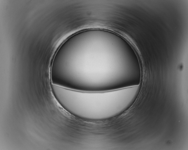 X0000116001388200911191203