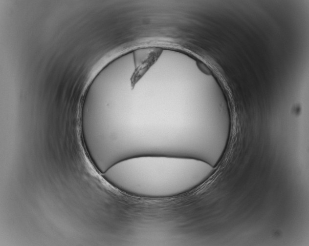 X0000116001390200911191203