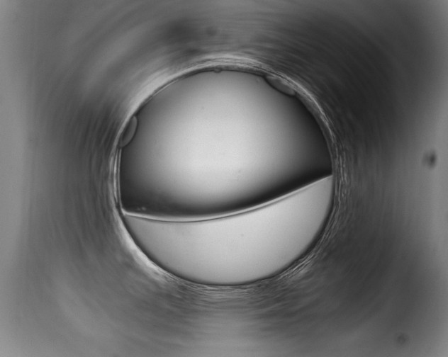 X0000116001391200911191203