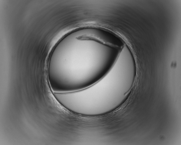 X0000116001392200911191203