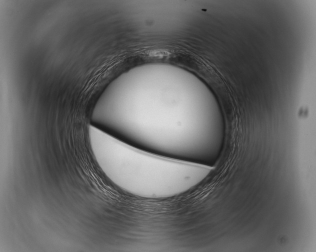 X0000116001394200911191203