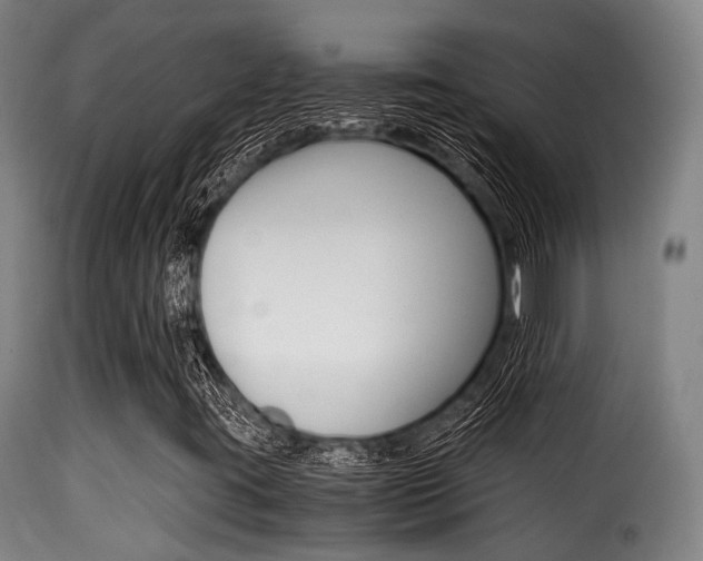 X0000116001395200911191203