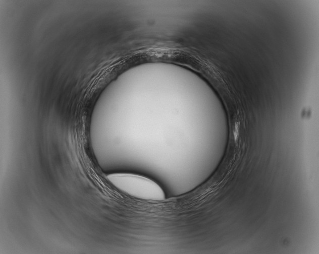X0000116001396200911191203