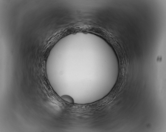 X0000116001397200911191203