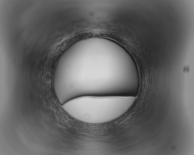 X0000116001398200911191203