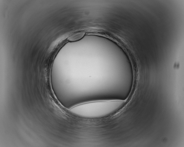 X0000116001402200911191203