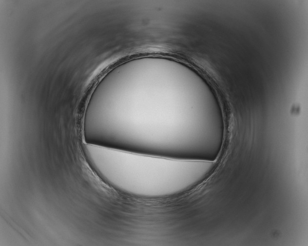 X0000116001404200911191203