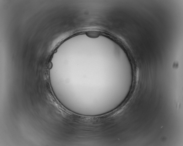 X0000116001405200911191203