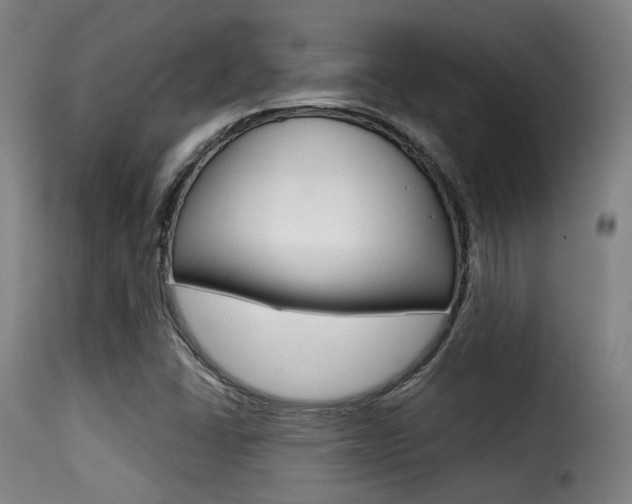 X0000116001406200911191203