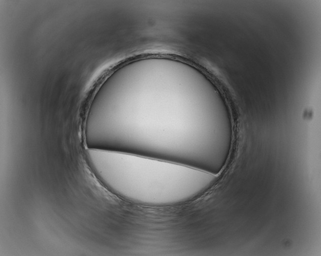 X0000116001408200911191203