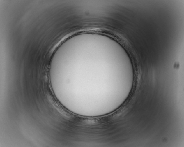 X0000116001409200911191203