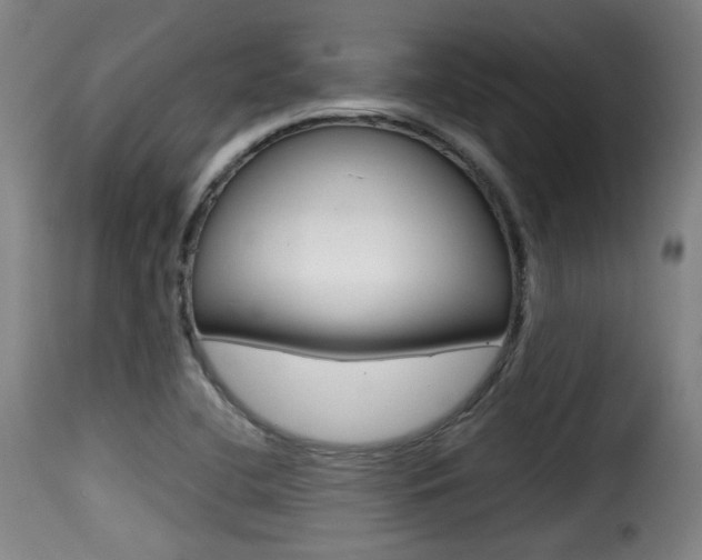 X0000116001412200911191203