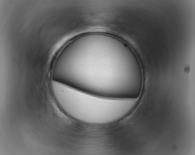X0000116001414200911191203