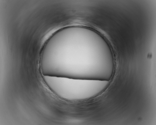 X0000116001415200911191203