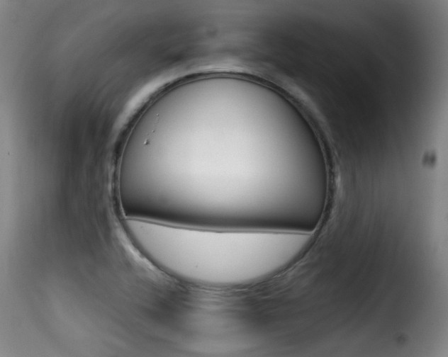 X0000116001416200911191203