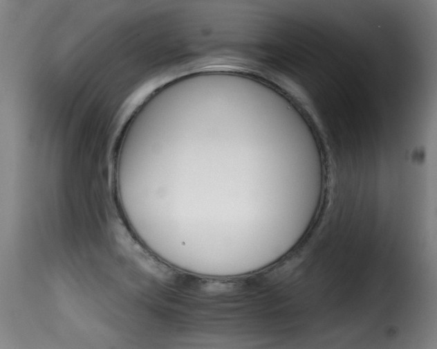 X0000116001419200911191203