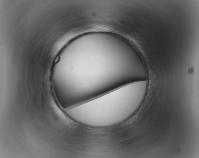X0000116001422200911191203